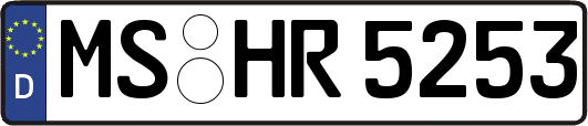 MS-HR5253
