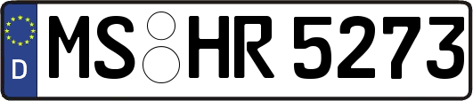 MS-HR5273