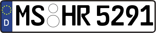 MS-HR5291