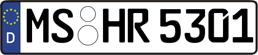 MS-HR5301