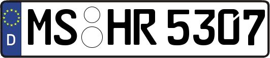 MS-HR5307