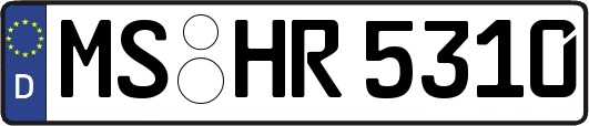 MS-HR5310