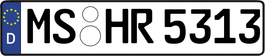 MS-HR5313
