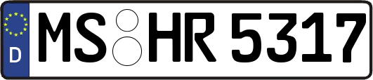 MS-HR5317
