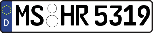 MS-HR5319