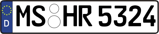 MS-HR5324