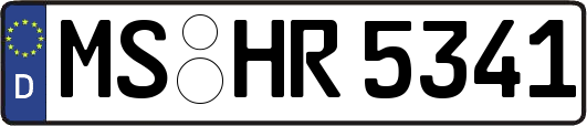 MS-HR5341