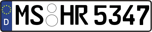 MS-HR5347
