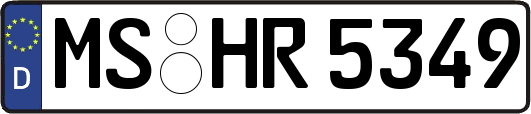 MS-HR5349