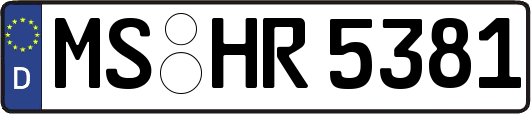 MS-HR5381