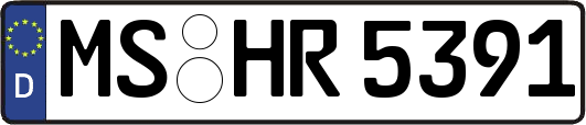MS-HR5391