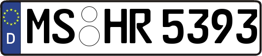 MS-HR5393
