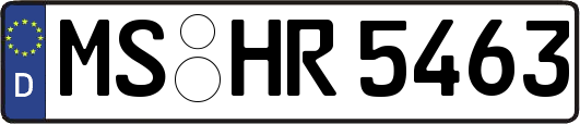 MS-HR5463