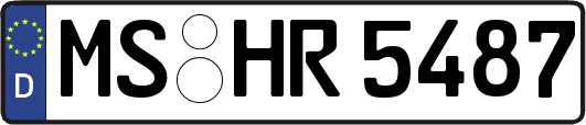 MS-HR5487