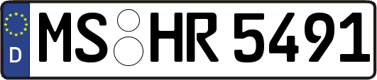 MS-HR5491