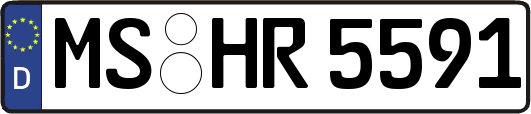 MS-HR5591