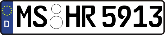 MS-HR5913