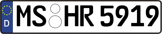 MS-HR5919
