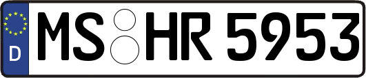 MS-HR5953