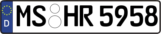 MS-HR5958