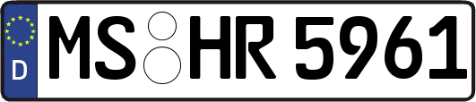 MS-HR5961