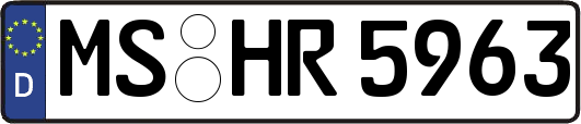 MS-HR5963