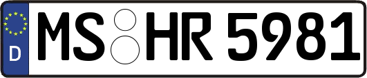 MS-HR5981