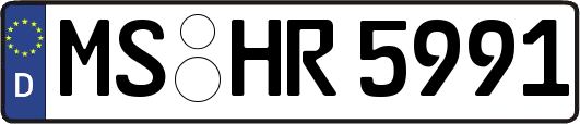 MS-HR5991