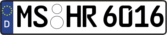 MS-HR6016