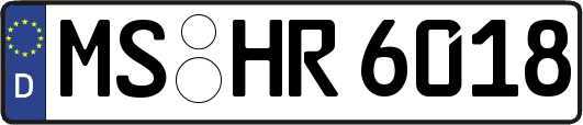MS-HR6018