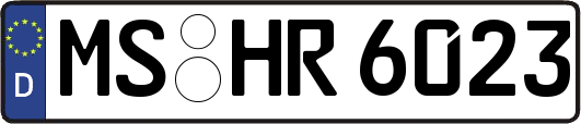 MS-HR6023
