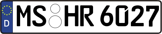 MS-HR6027