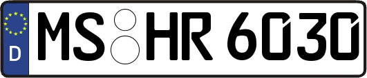 MS-HR6030