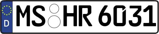 MS-HR6031