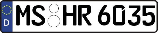 MS-HR6035