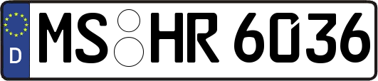 MS-HR6036