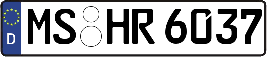 MS-HR6037