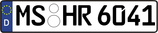 MS-HR6041