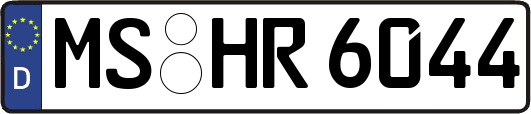 MS-HR6044