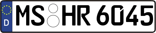 MS-HR6045