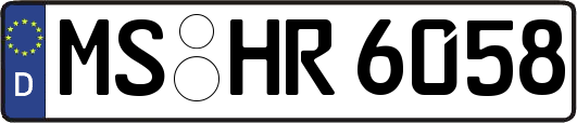 MS-HR6058