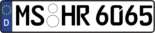 MS-HR6065