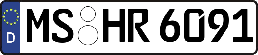 MS-HR6091