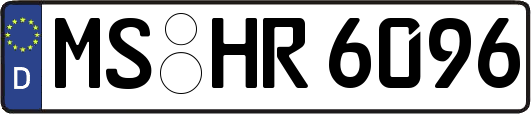 MS-HR6096