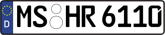 MS-HR6110