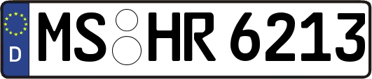 MS-HR6213