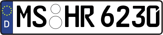 MS-HR6230