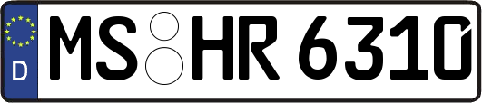MS-HR6310