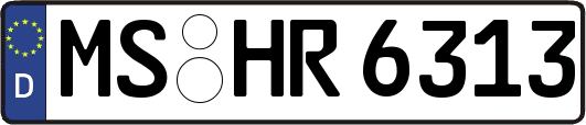 MS-HR6313