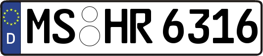 MS-HR6316
